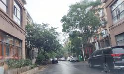 Featured image of post 和欣家园16幢-1单元-xxx室旧房全拆重装施工中