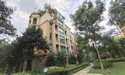 Featured image of post 龙山雅苑6幢-xxx施工中